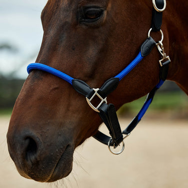 Dublin Leather Rope Headcollar| Online For Equine