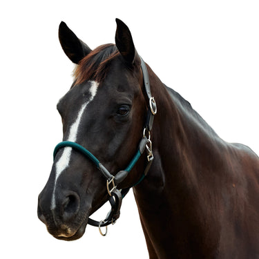 Dublin Leather Rope Headcollar| Online For Equine