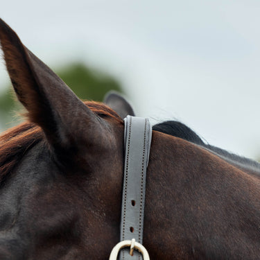 Dublin Leather Rope Headcollar| Online For Equine