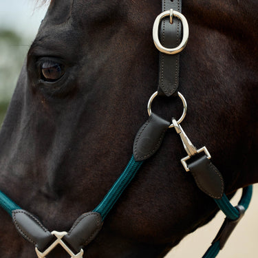 Dublin Leather Rope Headcollar| Online For Equine