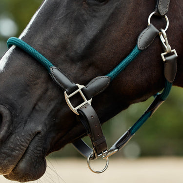 Dublin Leather Rope Headcollar| Online For Equine