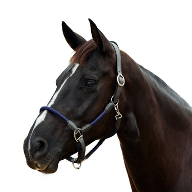 Dublin Leather Rope Headcollar| Online For Equine