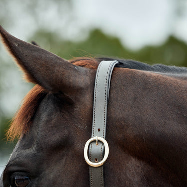 Dublin Leather Rope Headcollar| Online For Equine