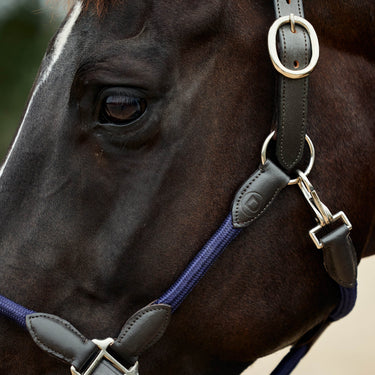 Dublin Leather Rope Headcollar| Online For Equine