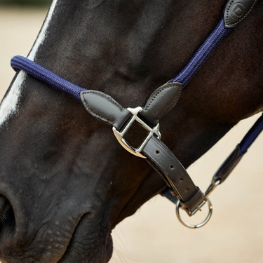 Dublin Leather Rope Headcollar| Online For Equine
