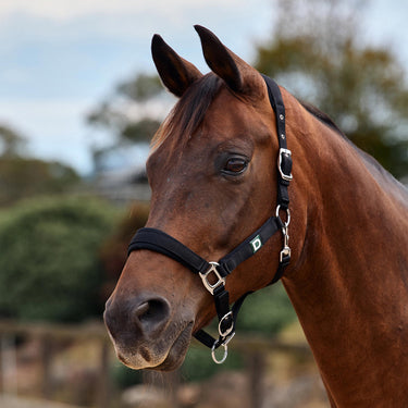 Dublin Neo Comfort Headcollar| Online For Equine