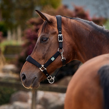 Dublin Neo Comfort Headcollar| Online For Equine