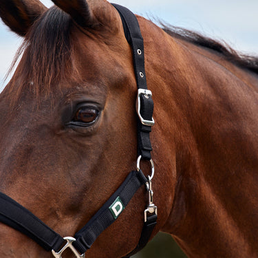 Dublin Neo Comfort Headcollar| Online For Equine