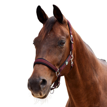 Dublin Neo Comfort Headcollar| Online For Equine