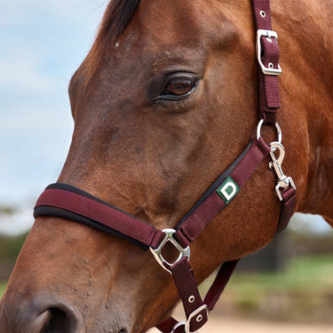 Dublin Neo Comfort Headcollar| Online For Equine