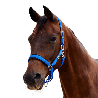 Dublin Neo Comfort Headcollar| Online For Equine