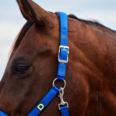 Dublin Neo Comfort Headcollar| Online For Equine