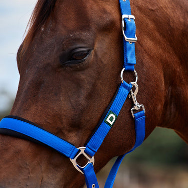 Dublin Neo Comfort Headcollar| Online For Equine