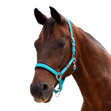 Dublin Neo Comfort Headcollar| Online For Equine