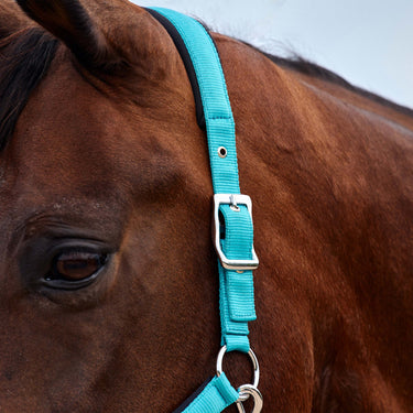 Dublin Neo Comfort Headcollar| Online For Equine