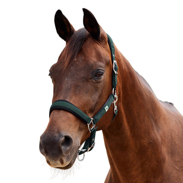 Dublin Neo Comfort Headcollar| Online For Equine