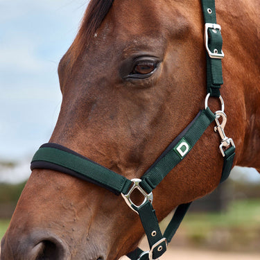 Dublin Neo Comfort Headcollar| Online For Equine