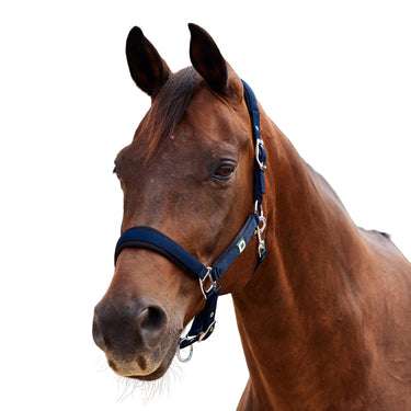 Dublin Neo Comfort Headcollar| Online For Equine