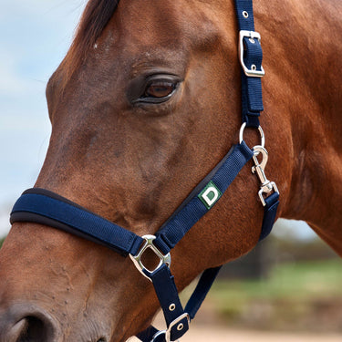 Dublin Neo Comfort Headcollar| Online For Equine
