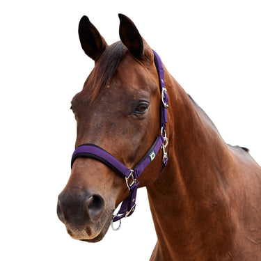 Dublin Neo Comfort Headcollar| Online For Equine