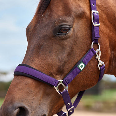 Dublin Neo Comfort Headcollar| Online For Equine