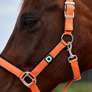 Dublin Neo Comfort Headcollar| Online For Equine