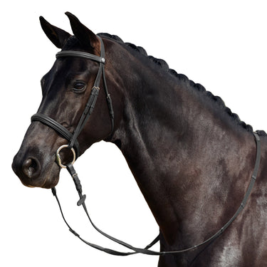 Dublin Padded Cavesson Bridle| Online For Equine