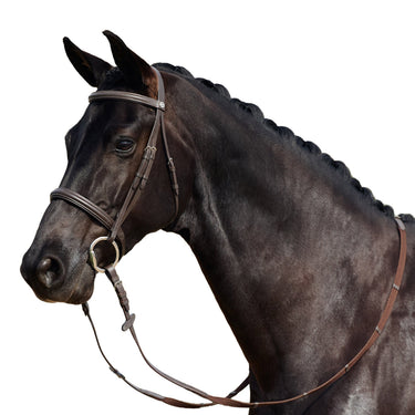 Dublin Padded Cavesson Bridle| Online For Equine