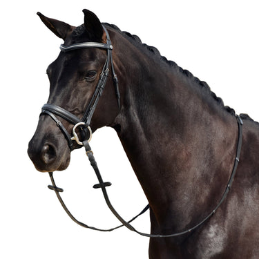Dublin Padded Comfort Crown Crystal Flash Bridle| Online For Equine