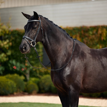 Dublin Padded Comfort Crown Crystal Flash Bridle| Online For Equine