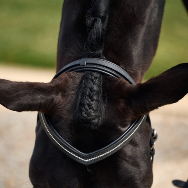 Dublin Padded Comfort Crown Crystal Flash Bridle| Online For Equine
