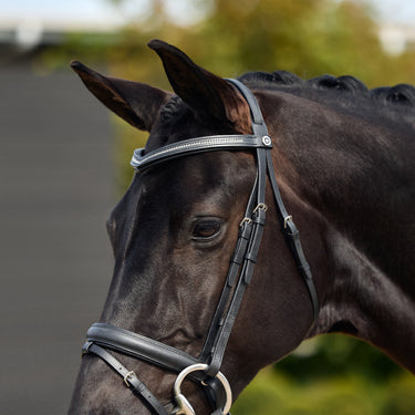 Dublin Padded Comfort Crown Crystal Flash Bridle| Online For Equine