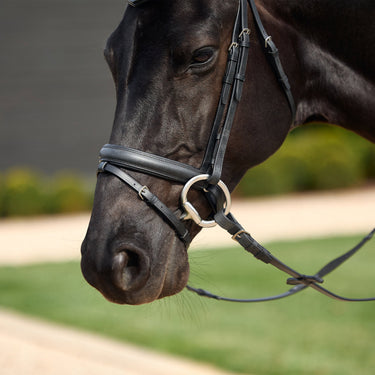 Dublin Padded Comfort Crown Crystal Flash Bridle| Online For Equine