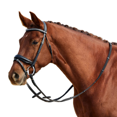 Dublin Padded Comfort Crown Patent Flash Bridle| Online For Equine