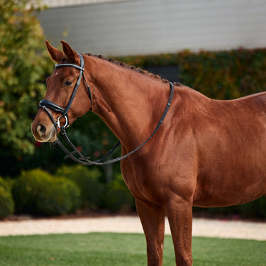 Dublin Padded Comfort Crown Patent Flash Bridle| Online For Equine
