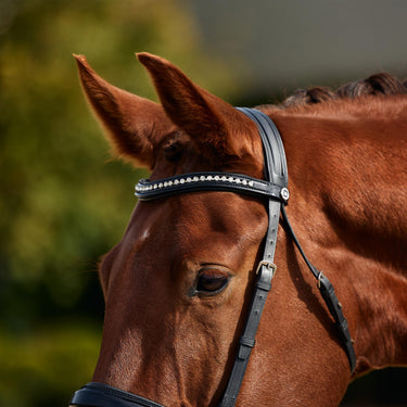 Dublin Padded Comfort Crown Patent Flash Bridle| Online For Equine