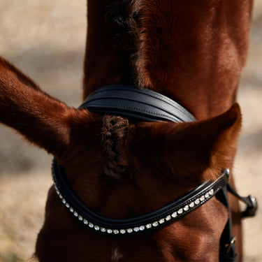 Dublin Padded Comfort Crown Patent Flash Bridle| Online For Equine