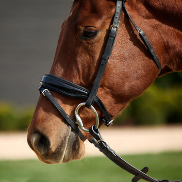 Dublin Padded Comfort Crown Patent Flash Bridle| Online For Equine