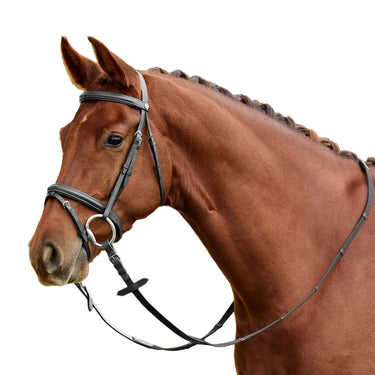 Dublin Padded Flash Bridle| Online For Equine