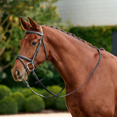 Dublin Padded Flash Bridle| Online For Equine
