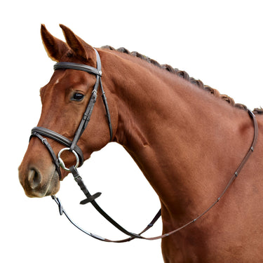 Dublin Padded Flash Bridle| Online For Equine