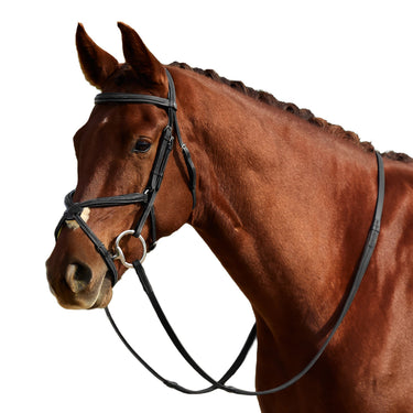 Dublin Padded Mono Crown Fancy Stitch Grackle Bridle| Online For Equine