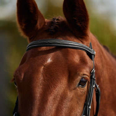 Dublin Padded Mono Crown Fancy Stitch Grackle Bridle| Online For Equine