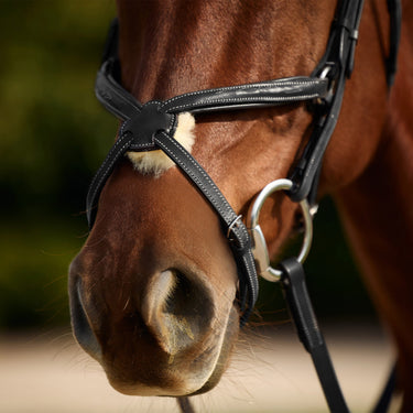 Dublin Padded Mono Crown Fancy Stitch Grackle Bridle| Online For Equine