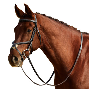 Dublin Padded Mono Crown Fancy Stitch Grackle Bridle| Online For Equine