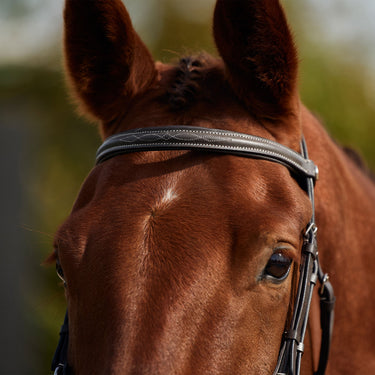 Dublin Padded Mono Crown Fancy Stitch Grackle Bridle| Online For Equine