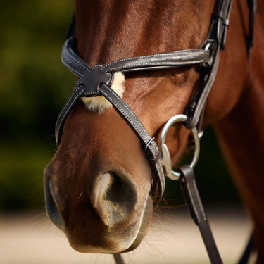 Dublin Padded Mono Crown Fancy Stitch Grackle Bridle| Online For Equine