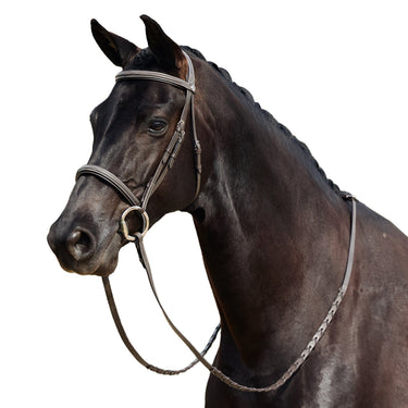 Dublin Padded Mono Crown Fancy Stitch Hunt Bridle| Online For Equine