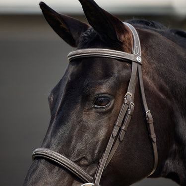 Dublin Padded Mono Crown Fancy Stitch Hunt Bridle| Online For Equine