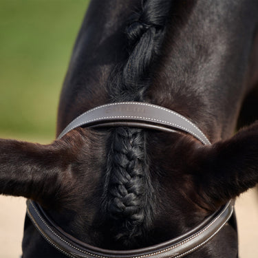 Dublin Padded Mono Crown Fancy Stitch Hunt Bridle| Online For Equine